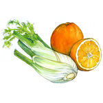 fennel and orange